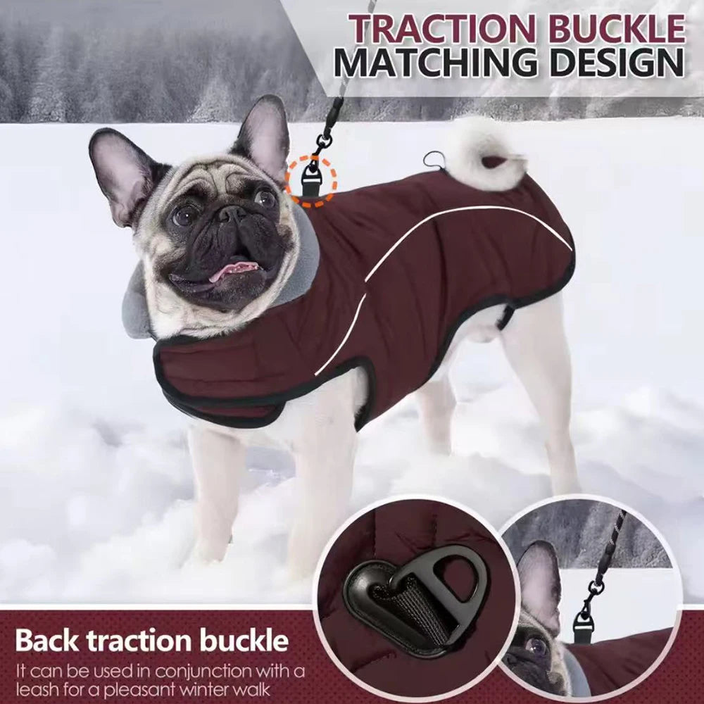 CN Zhejiang Waterproof Reflective Dog Winter Jacket