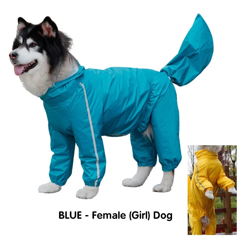Glorious Kek Dog Raincoat Hooded Waterproof Jacket