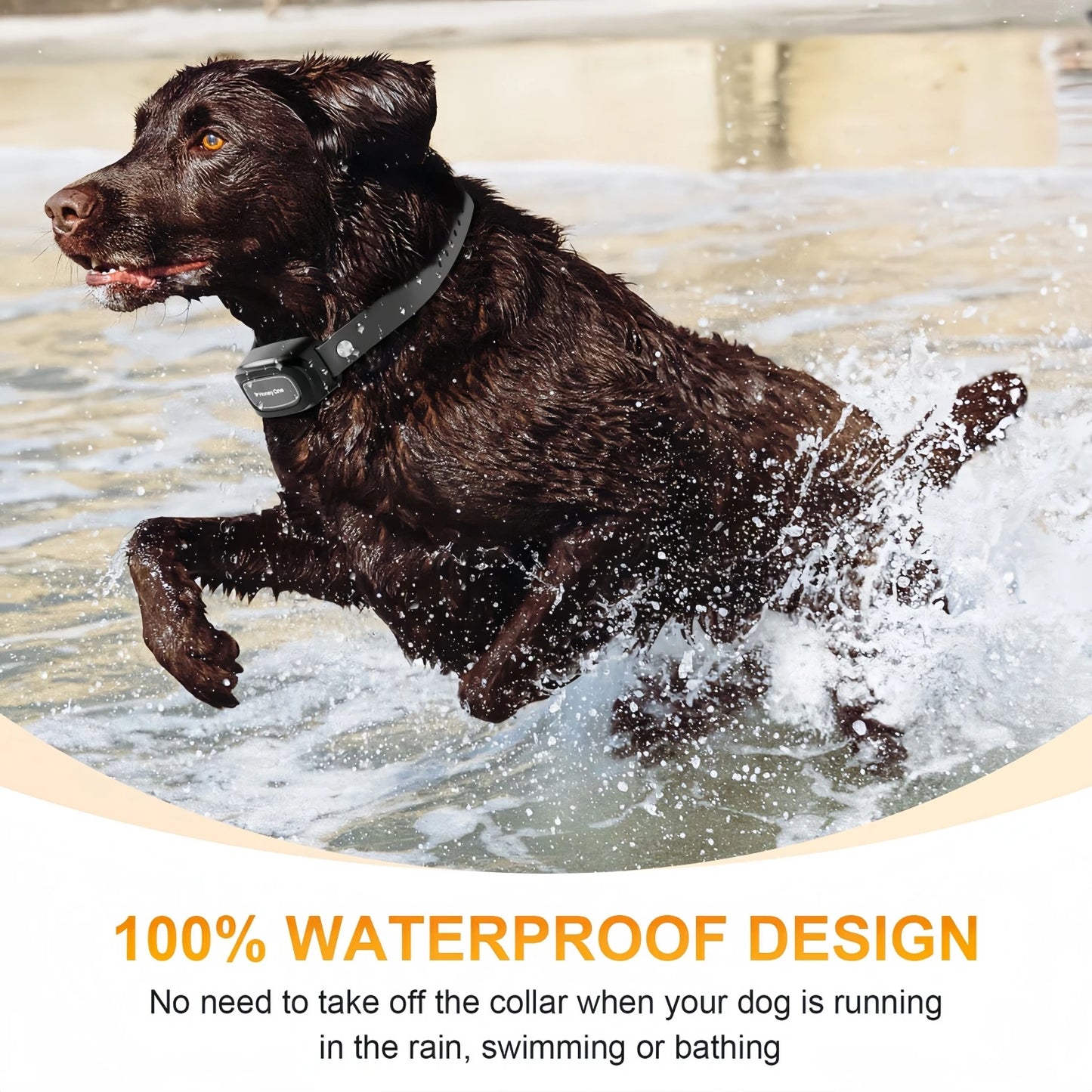 YHLC 3500Ft Digital Dog Training Collar Waterproof Remote