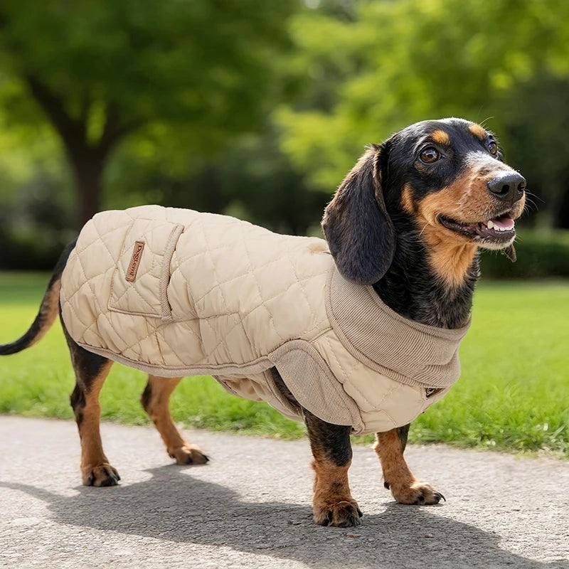 DogLemi Winter Water Repellent Dachshund Coat Windproof