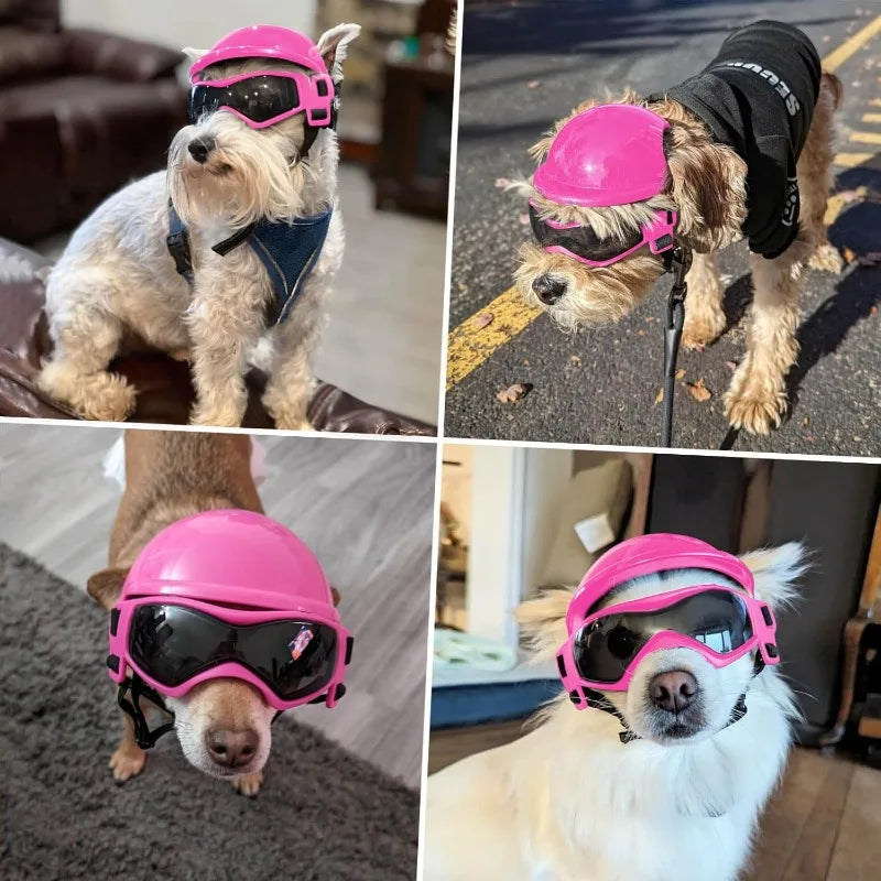 LETVIA Dog Helmet With Goggles Anti UV Sunglasses For Pets
