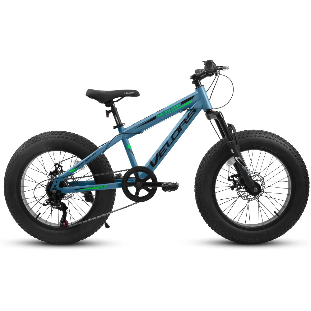 20 Inch Fat Tire Bike Adult 7 Speed Mountain Bike, Dual Disc Brakes, High Carbon Steel Frame, Front Suspension, Mountain Buggy