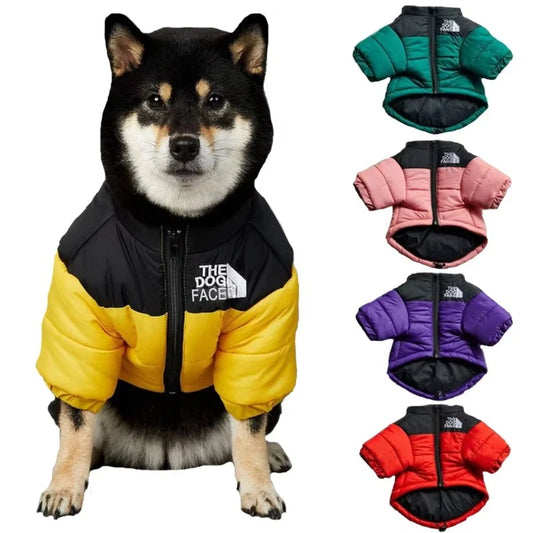 The Dog Face Winter Down Jacket For French Bulldog Puppies