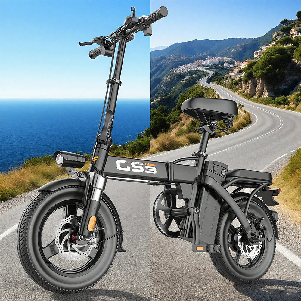 Toofly GS3 Folding Electric Bicycle 250W Motor 48V Battery