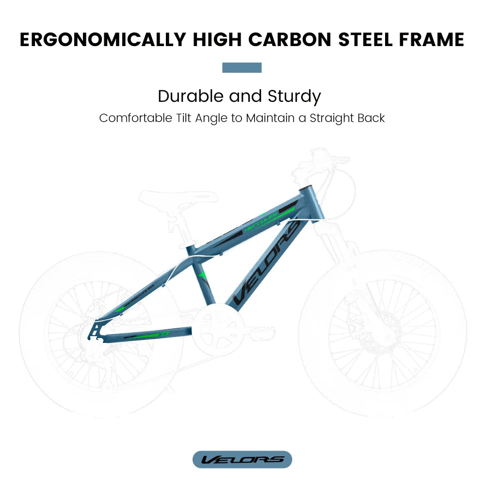 20 Inch Fat Tire Bike Adult 7 Speed Mountain Bike, Dual Disc Brakes, High Carbon Steel Frame, Front Suspension, Mountain Buggy