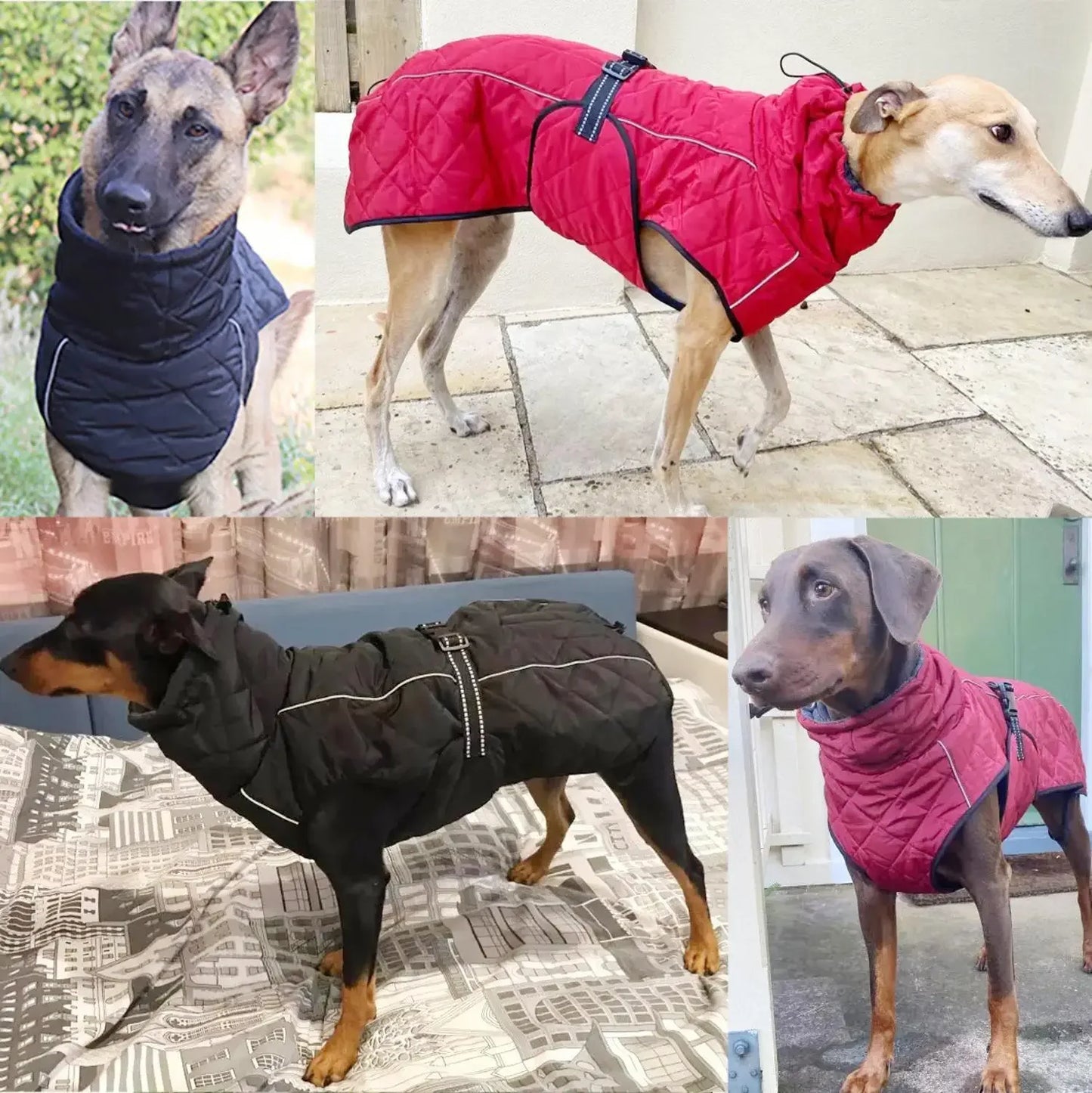ZhejiangChoice Dog Outdoor Jacket Waterproof Reflective