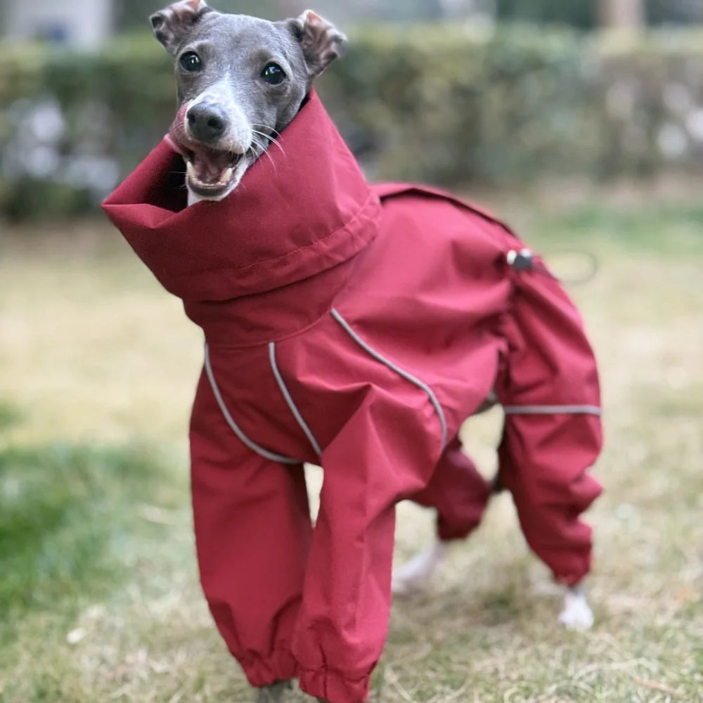 Hubei Waterproof Dog Raincoat Windproof Reflective Coat