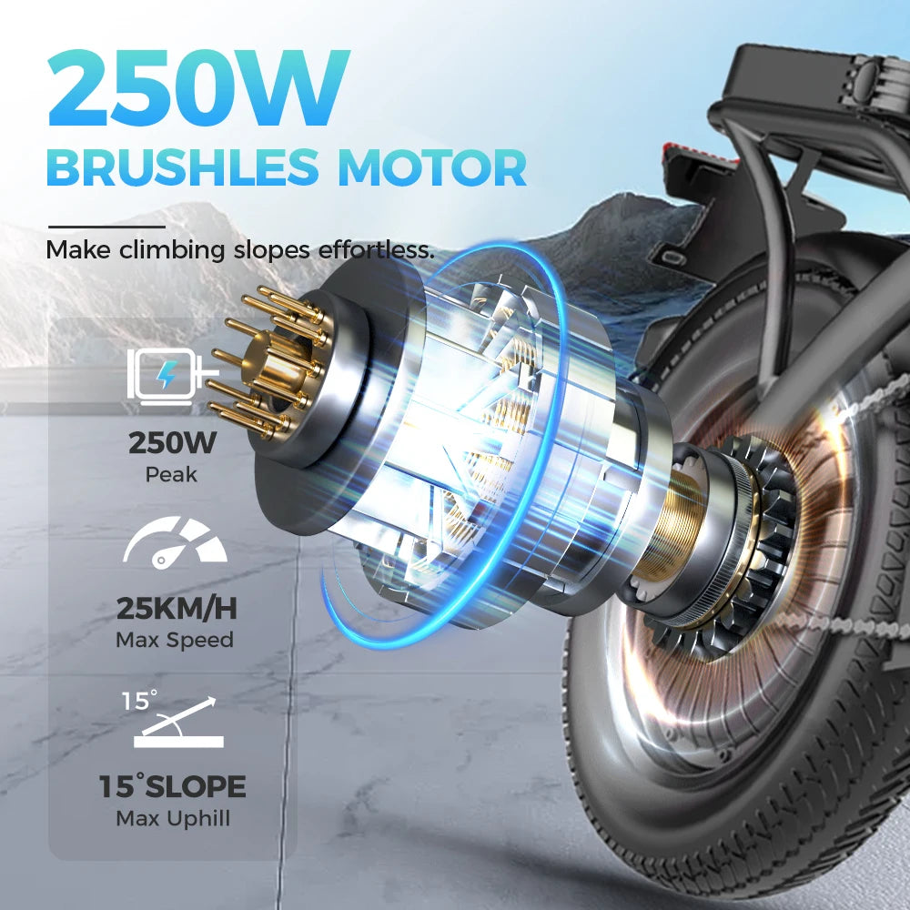 Toofly GS3 Folding Electric Bicycle 250W Motor 48V Battery