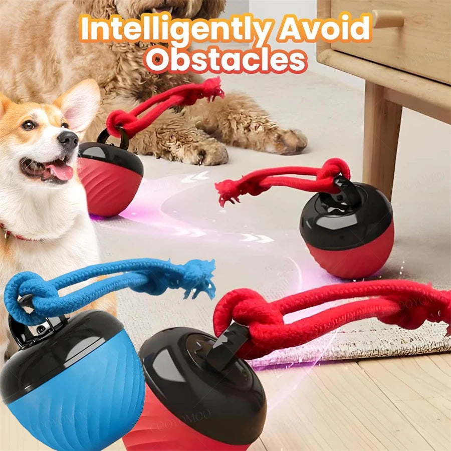 Intelligent USB Dog Toy Ball Automatic Bouncing Interactive