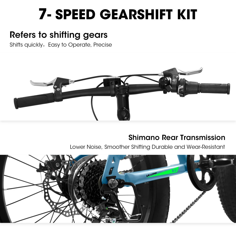 20 Inch Fat Tire Bike Adult 7 Speed Mountain Bike, Dual Disc Brakes, High Carbon Steel Frame, Front Suspension, Mountain Buggy