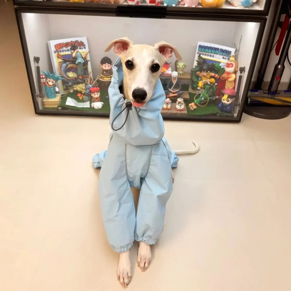 Hubei Waterproof Dog Raincoat Windproof Reflective Coat
