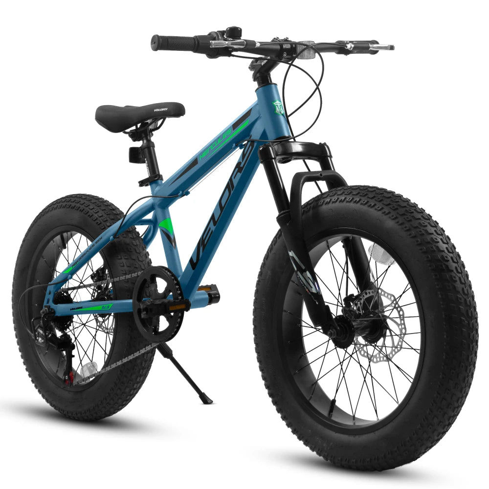 20 Inch Fat Tire Bike Adult 7 Speed Mountain Bike, Dual Disc Brakes, High Carbon Steel Frame, Front Suspension, Mountain Buggy