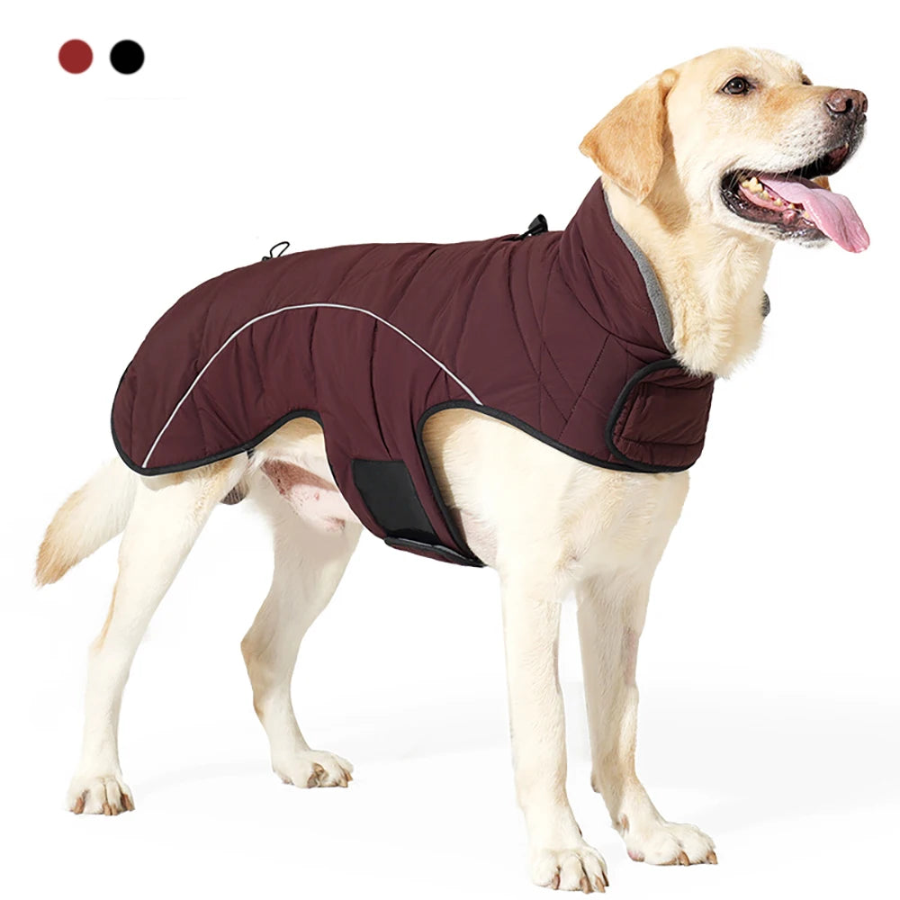 CN Zhejiang Waterproof Reflective Dog Winter Jacket