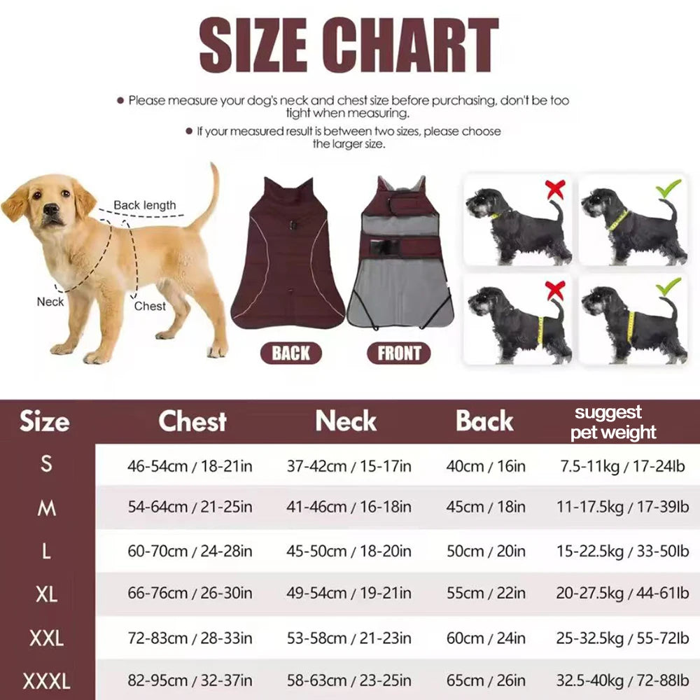 CN Zhejiang Waterproof Reflective Dog Winter Jacket