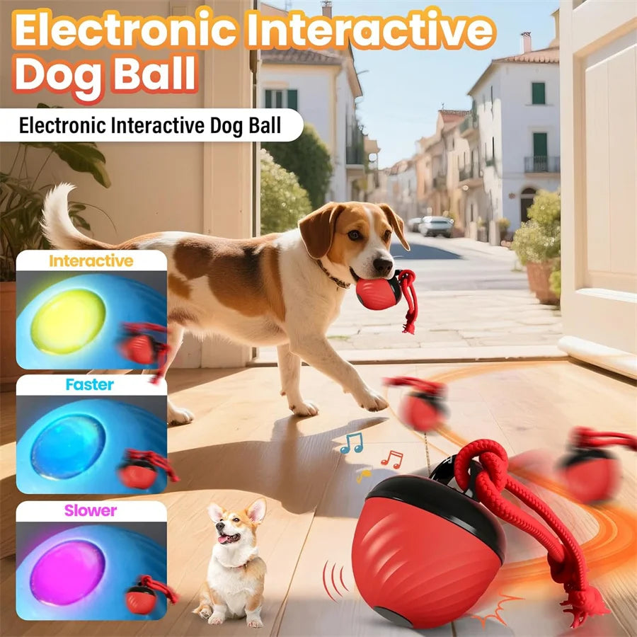 Intelligent USB Dog Toy Ball Automatic Bouncing Interactive