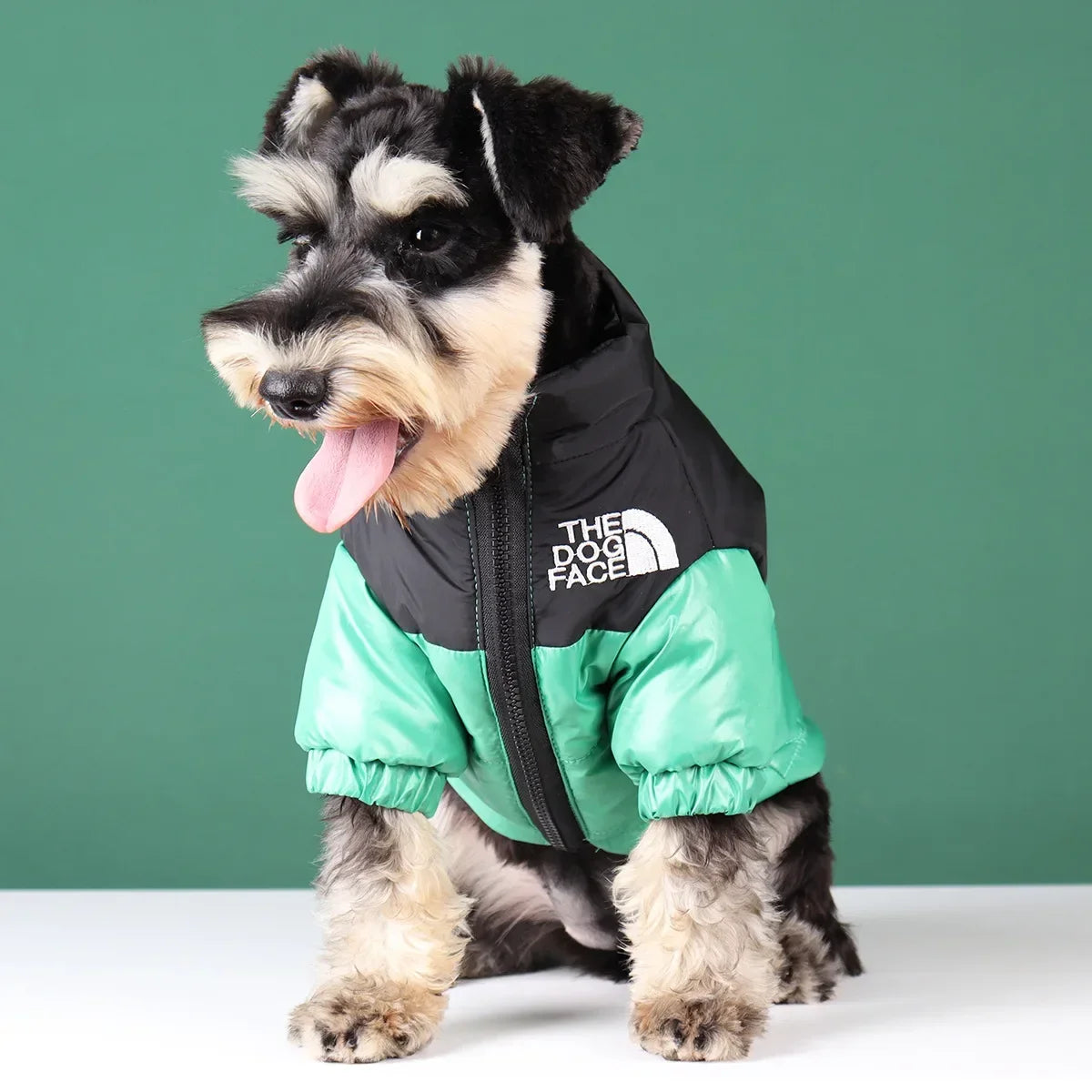 The Dog Face Winter Down Jacket For French Bulldog Puppies