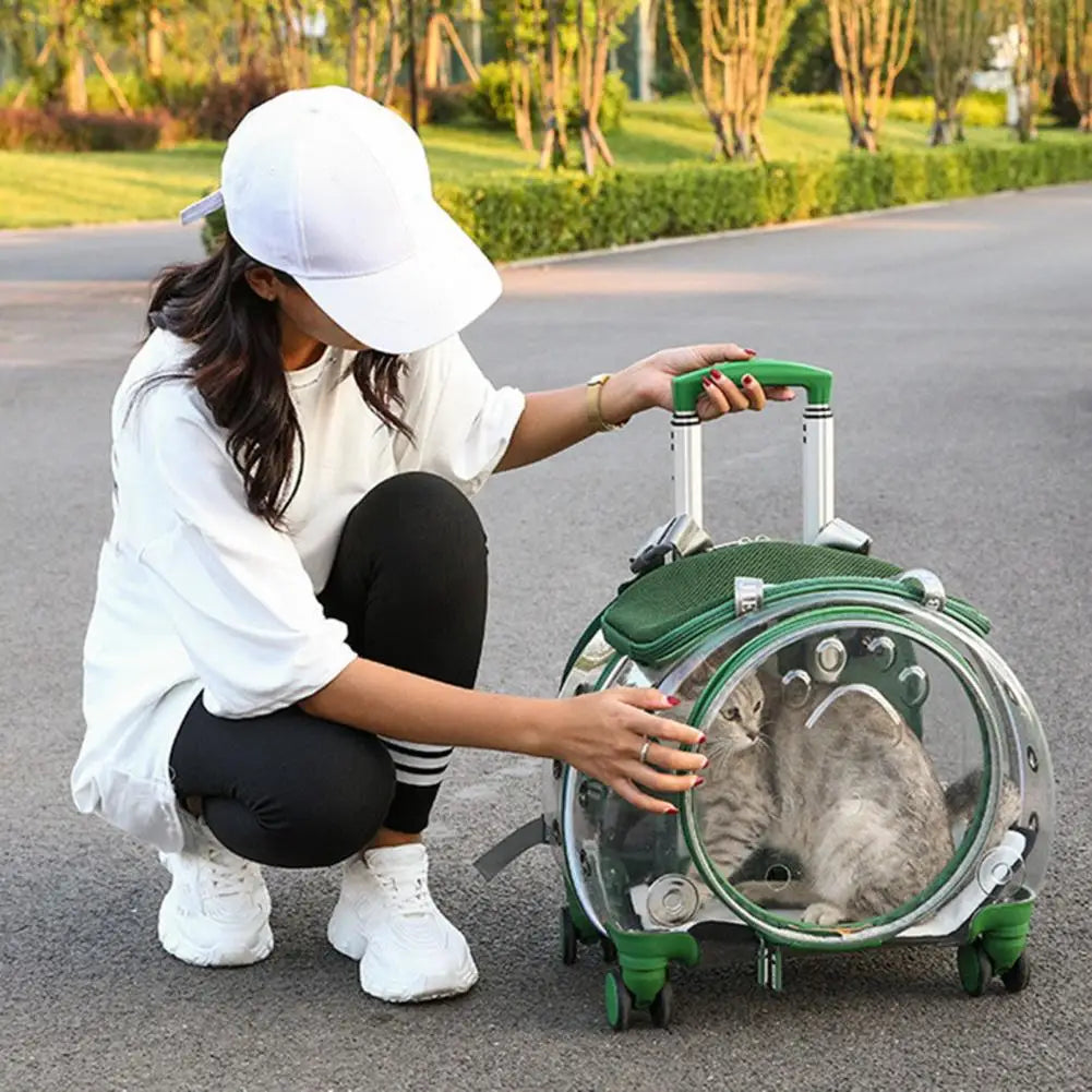 Pet Trolley Case Clear Ventilation Holes Silent Wheels Convenient Portable Cats Dogs Backpack for Travel